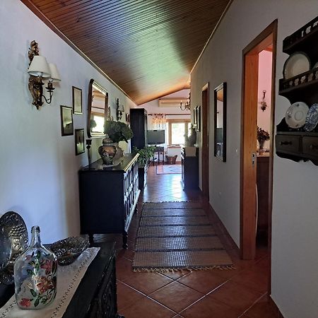 Quinta De Carcavelos Agroturismo E Enoturismo سيلوريكو دي باستو المظهر الخارجي الصورة
