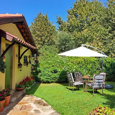 Quinta De Carcavelos Agroturismo E Enoturismo سيلوريكو دي باستو المظهر الخارجي الصورة